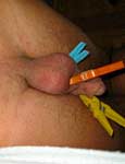 Cock torture.. pic 5
